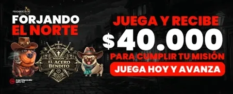 Programa Referidos King